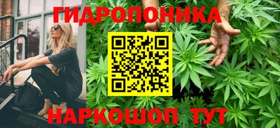 твердый Партизанск
