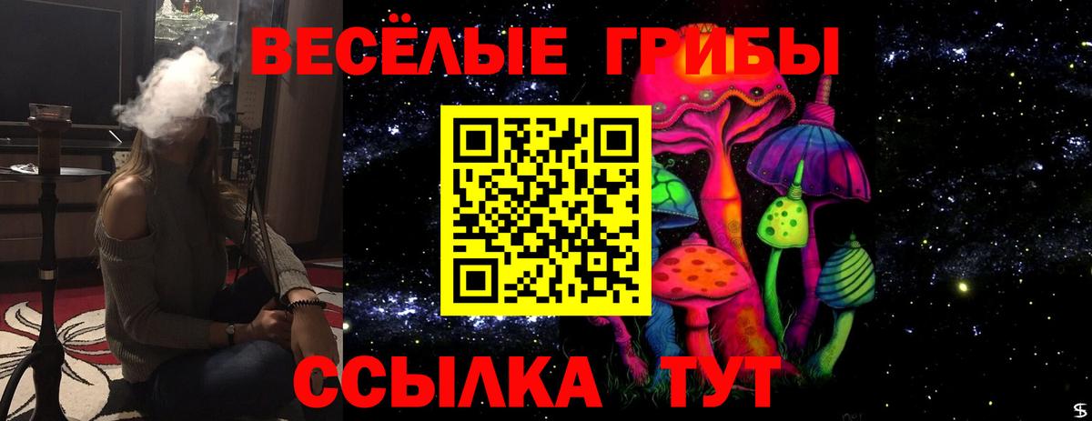 Псилоцибиновые грибы ЛСД Родники