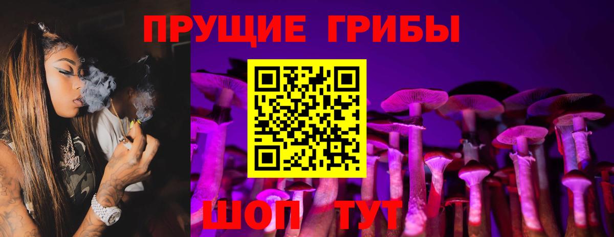 Родники  Галлюциногенные грибы прущие грибы  Вход с VPN  Псилоцибиновые грибы прущие грибы 